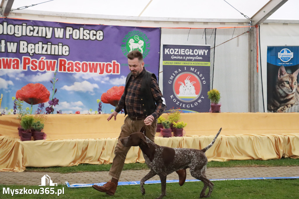 Fotorelacja II: Wystawa Psów Rasowych 2025 – Gniazdów Gmina Koziegłowy