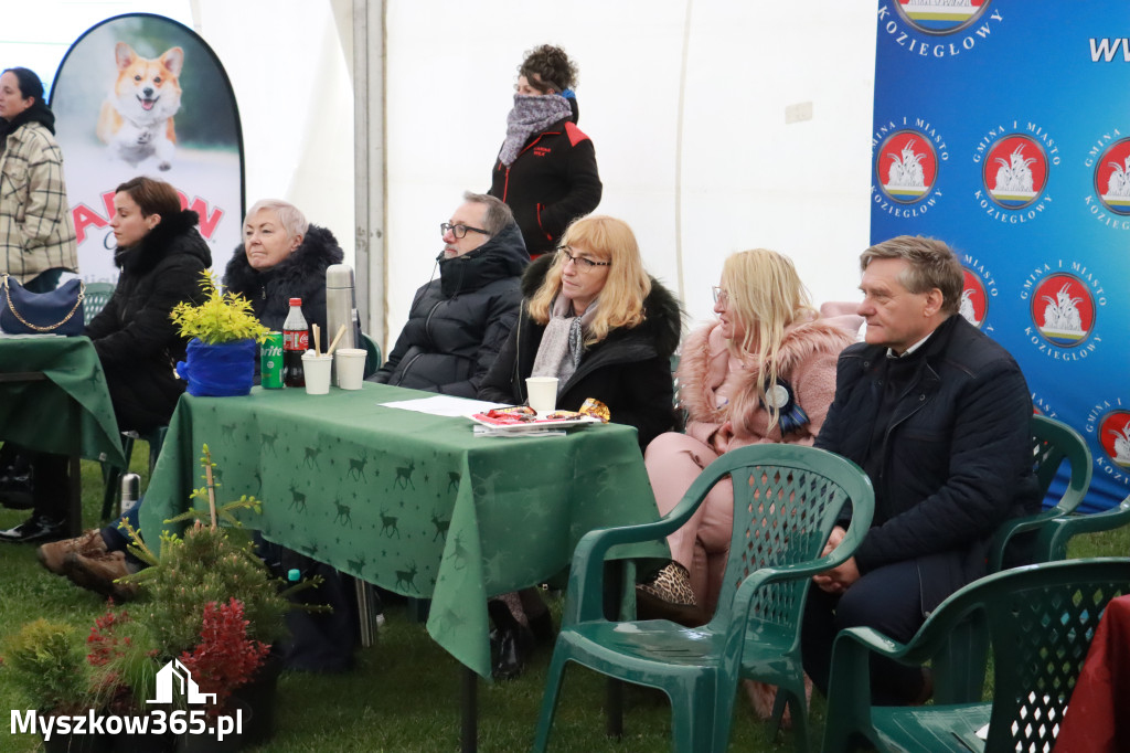 Fotorelacja II: Wystawa Psów Rasowych 2025 – Gniazdów Gmina Koziegłowy