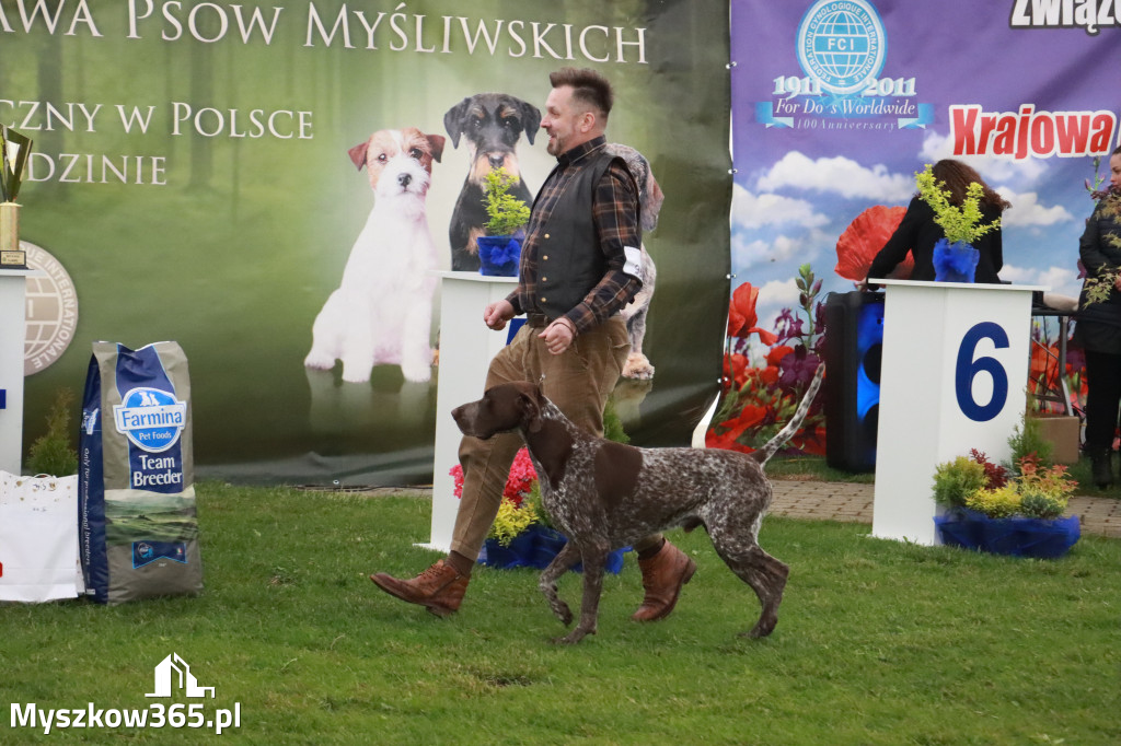 Fotorelacja II: Wystawa Psów Rasowych 2025 – Gniazdów Gmina Koziegłowy