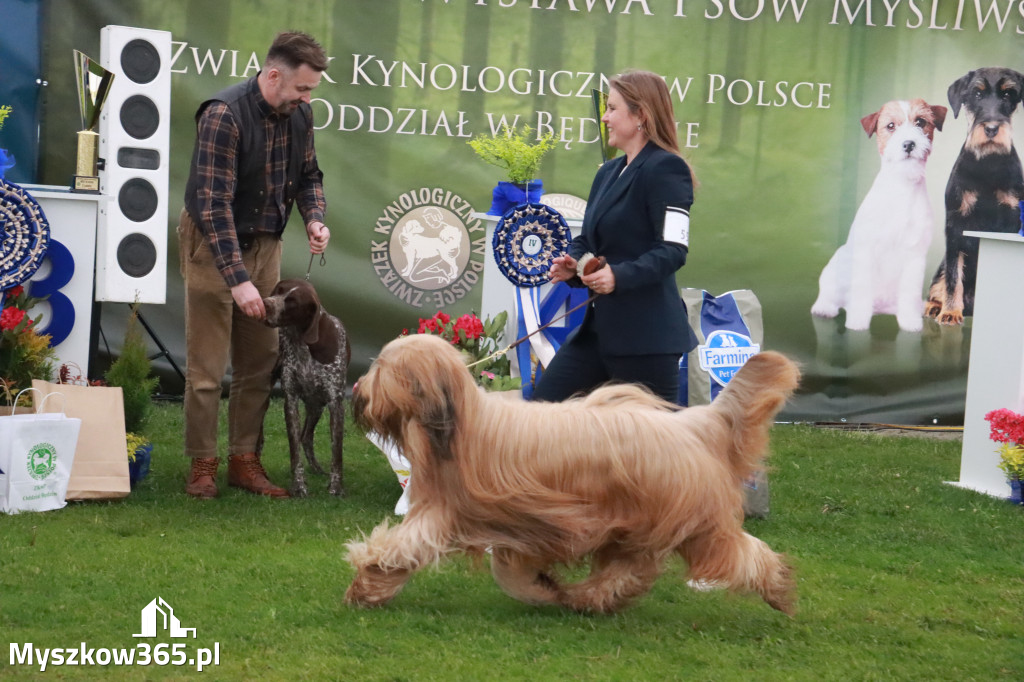 Fotorelacja II: Wystawa Psów Rasowych 2025 – Gniazdów Gmina Koziegłowy