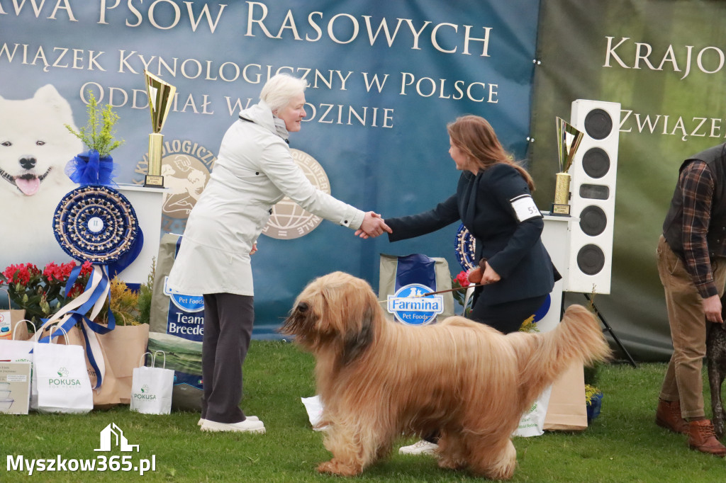 Fotorelacja II: Wystawa Psów Rasowych 2025 – Gniazdów Gmina Koziegłowy