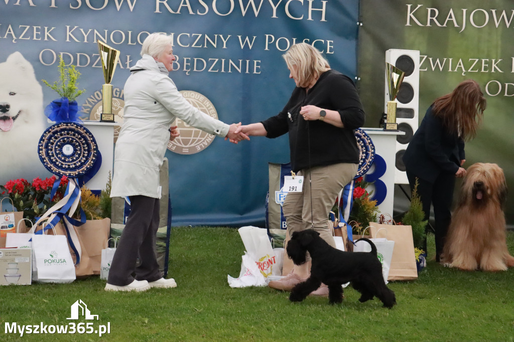 Fotorelacja II: Wystawa Psów Rasowych 2025 – Gniazdów Gmina Koziegłowy