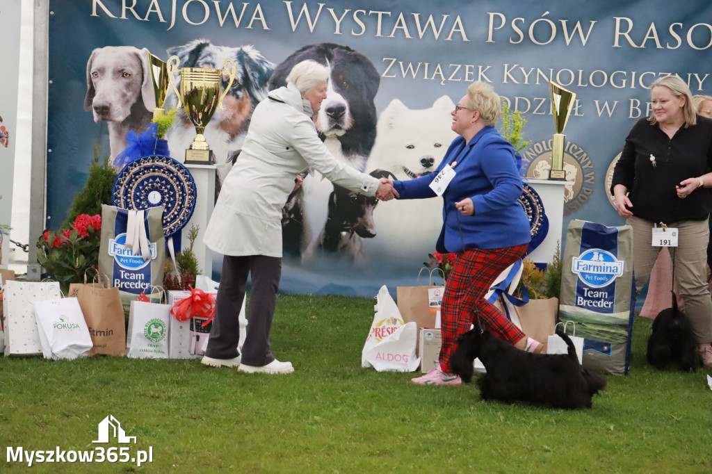 Fotorelacja II: Wystawa Psów Rasowych 2025 – Gniazdów Gmina Koziegłowy