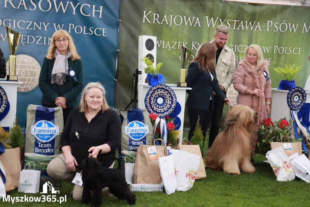 Fotorelacja II: Wystawa Psów Rasowych 2025 – Gniazdów Gmina Koziegłowy