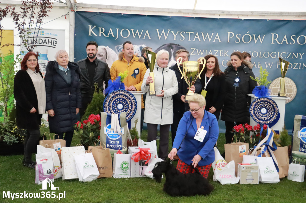 Fotorelacja II: Wystawa Psów Rasowych 2025 – Gniazdów Gmina Koziegłowy