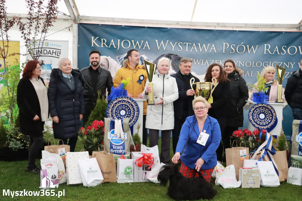 Fotorelacja II: Wystawa Psów Rasowych 2025 – Gniazdów Gmina Koziegłowy