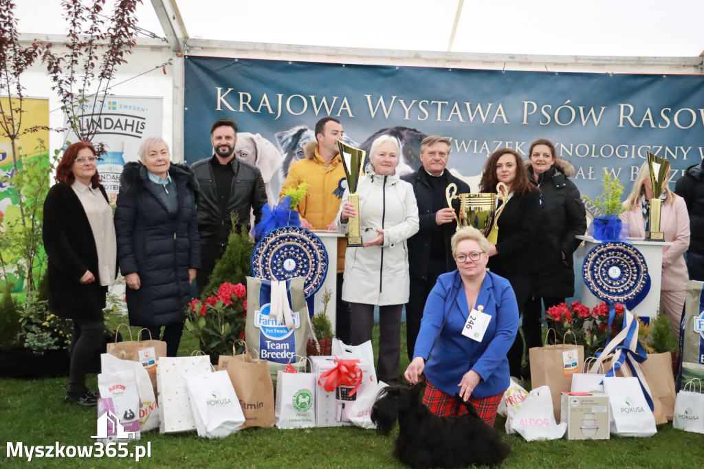 Fotorelacja II: Wystawa Psów Rasowych 2025 – Gniazdów Gmina Koziegłowy