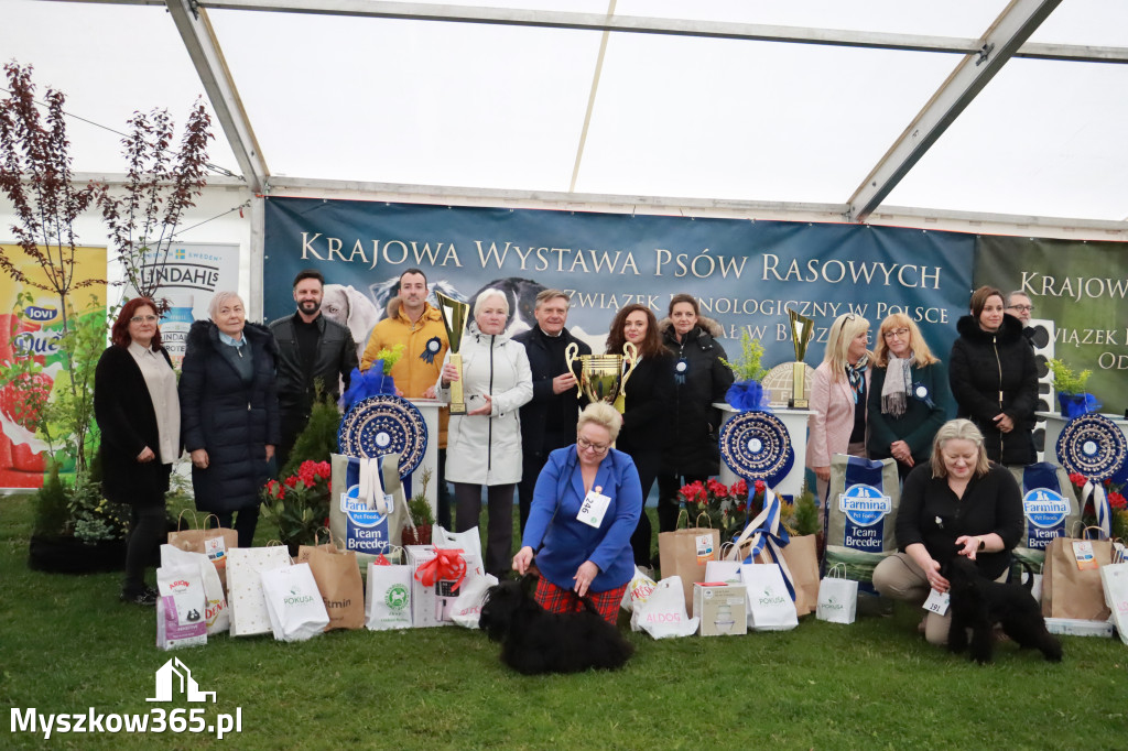 Fotorelacja II: Wystawa Psów Rasowych 2025 – Gniazdów Gmina Koziegłowy