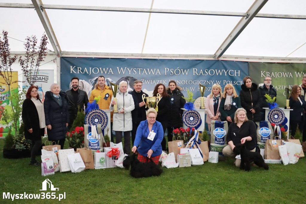 Fotorelacja II: Wystawa Psów Rasowych 2025 – Gniazdów Gmina Koziegłowy