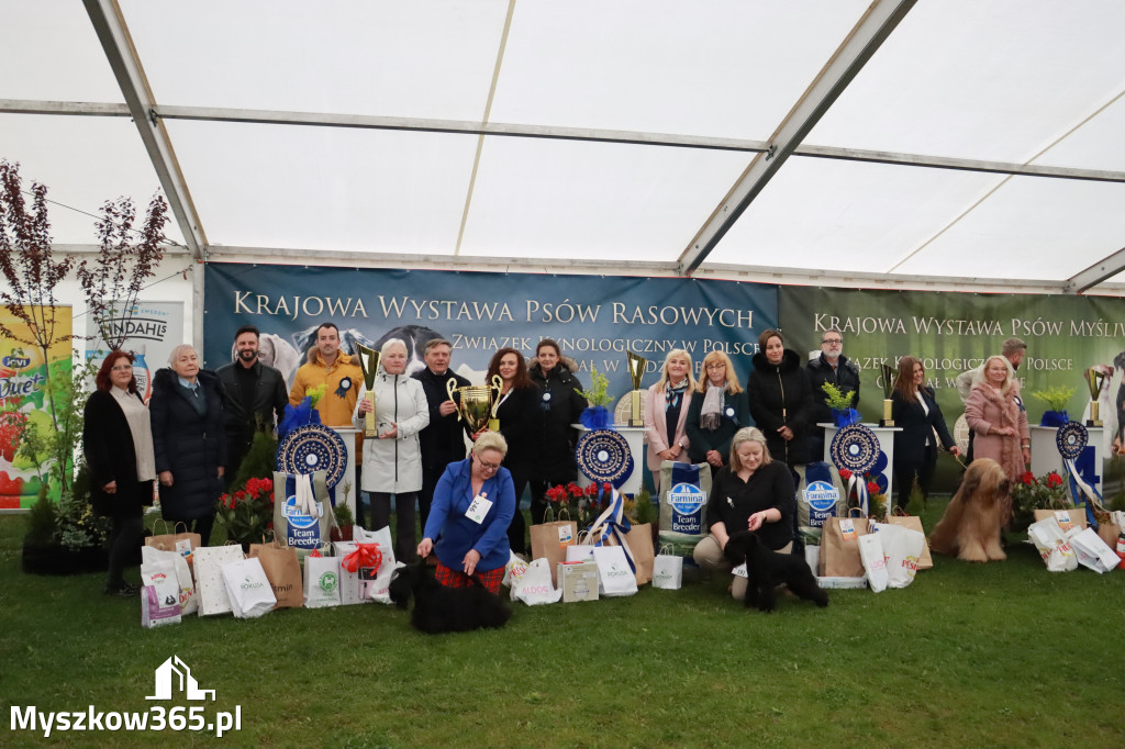 Fotorelacja II: Wystawa Psów Rasowych 2025 – Gniazdów Gmina Koziegłowy