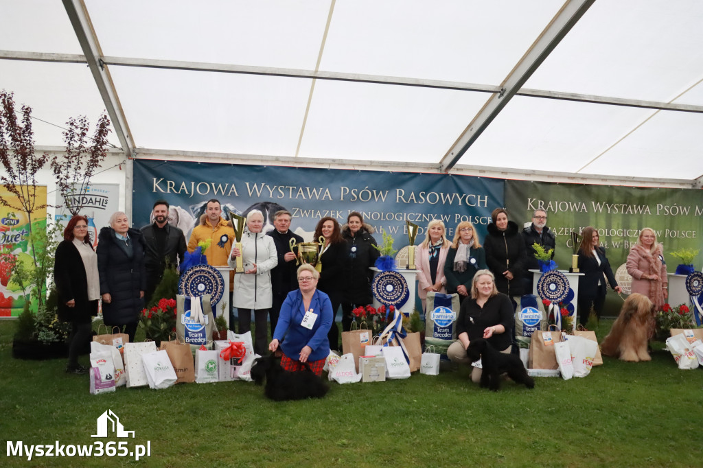 Fotorelacja II: Wystawa Psów Rasowych 2025 – Gniazdów Gmina Koziegłowy