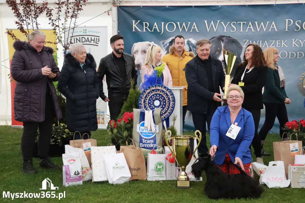 Fotorelacja II: Wystawa Psów Rasowych 2025 – Gniazdów Gmina Koziegłowy