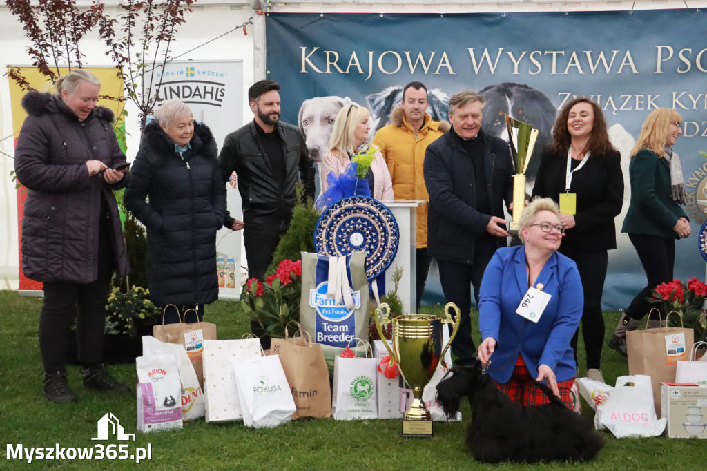 Fotorelacja II: Wystawa Psów Rasowych 2025 – Gniazdów Gmina Koziegłowy