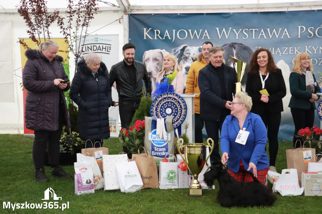 Fotorelacja II: Wystawa Psów Rasowych 2025 – Gniazdów Gmina Koziegłowy