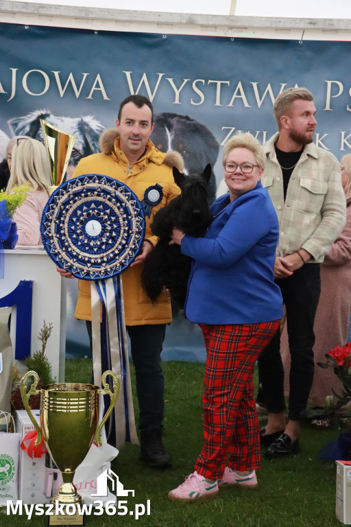 Fotorelacja II: Wystawa Psów Rasowych 2025 – Gniazdów Gmina Koziegłowy