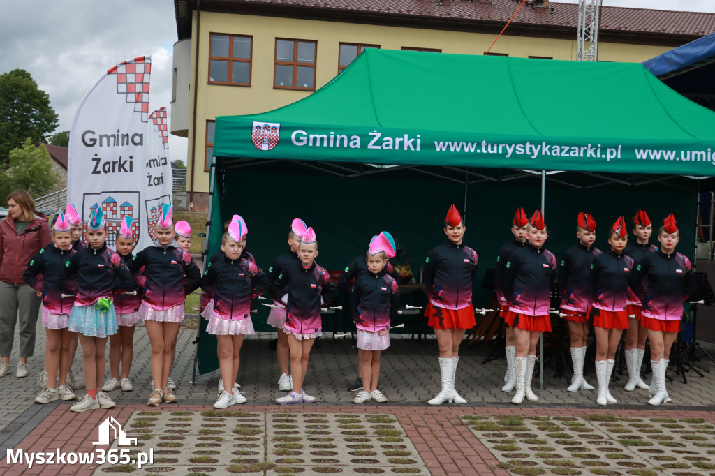 Fotorelacja II: 120-lecie OSP Żarki - część oficjalna