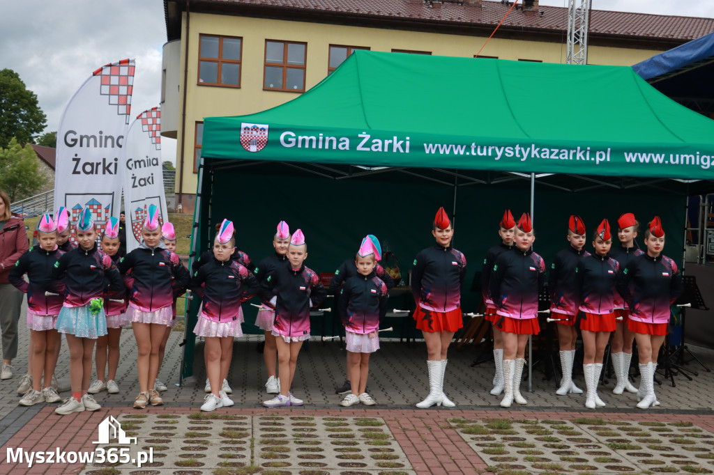 Fotorelacja II: 120-lecie OSP Żarki - część oficjalna