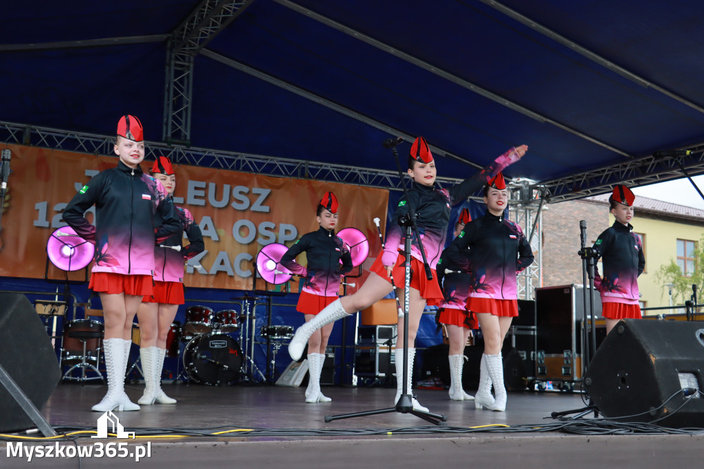Fotorelacja II: 120-lecie OSP Żarki - część oficjalna