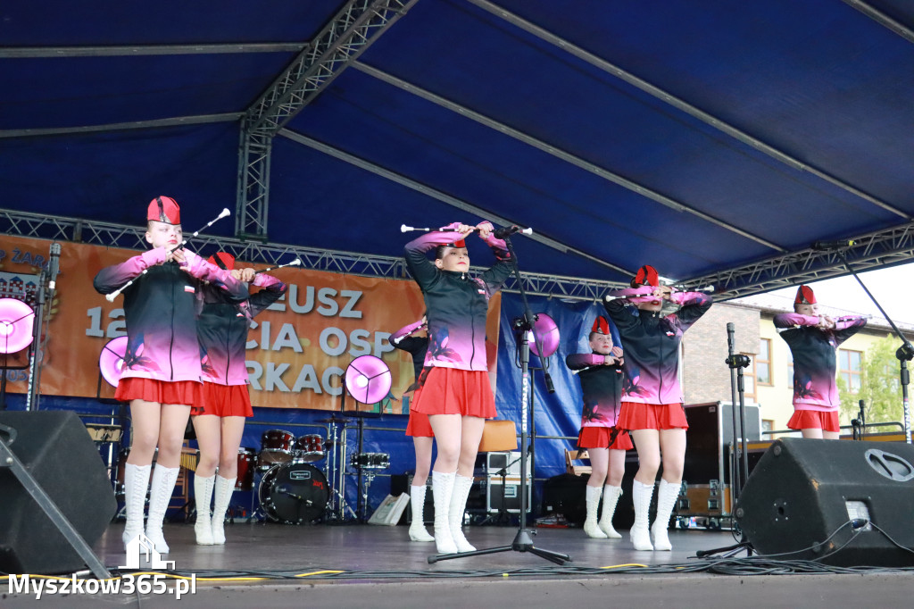 Fotorelacja II: 120-lecie OSP Żarki - część oficjalna