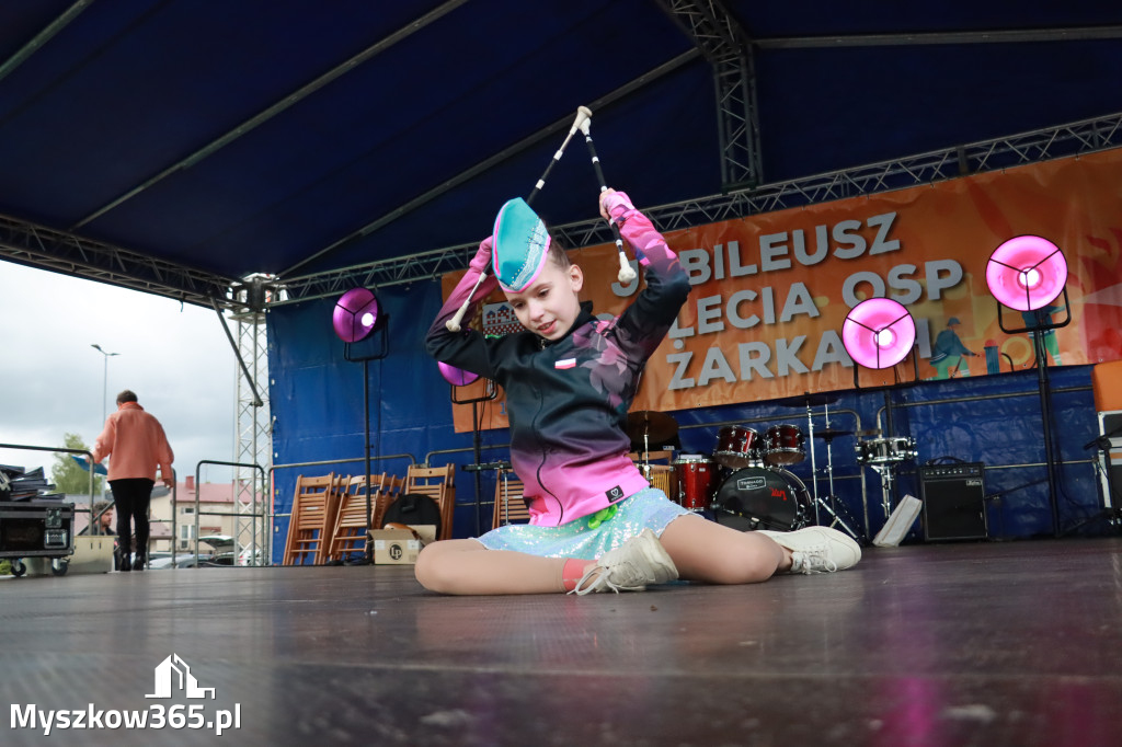 Fotorelacja II: 120-lecie OSP Żarki - część oficjalna