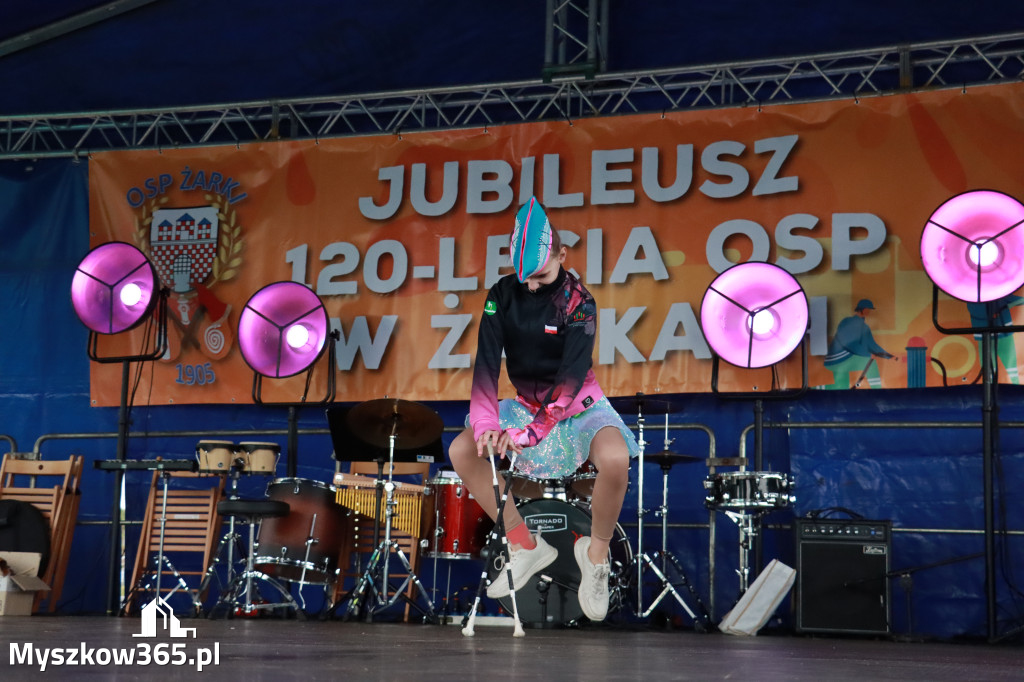 Fotorelacja II: 120-lecie OSP Żarki - część oficjalna
