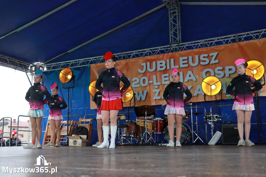 Fotorelacja II: 120-lecie OSP Żarki - część oficjalna