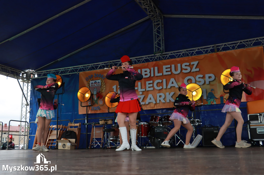 Fotorelacja II: 120-lecie OSP Żarki - część oficjalna