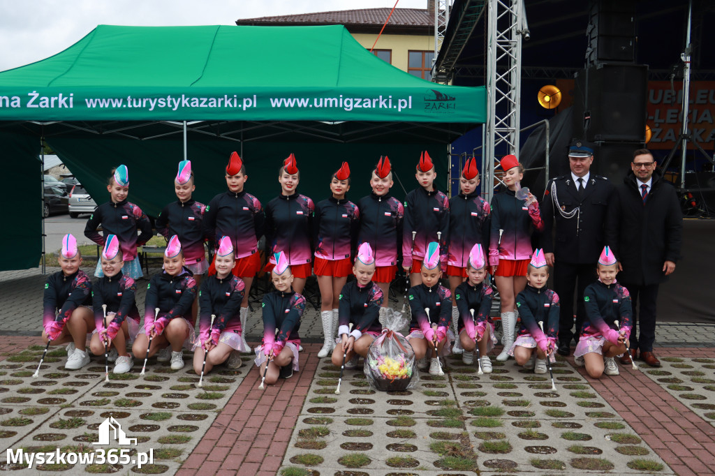 Fotorelacja II: 120-lecie OSP Żarki - część oficjalna