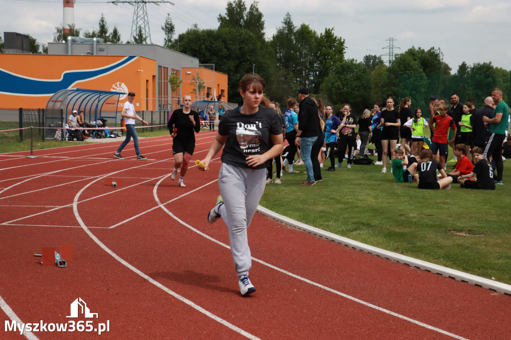 Fotorelacja: Powiatowy Festiwal Sztafet w Myszkowie
