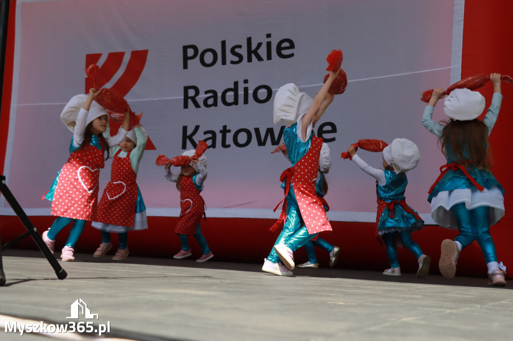 Fotorelacja: Trenuj z Ligo i Radiem Katowice w Myszkowie