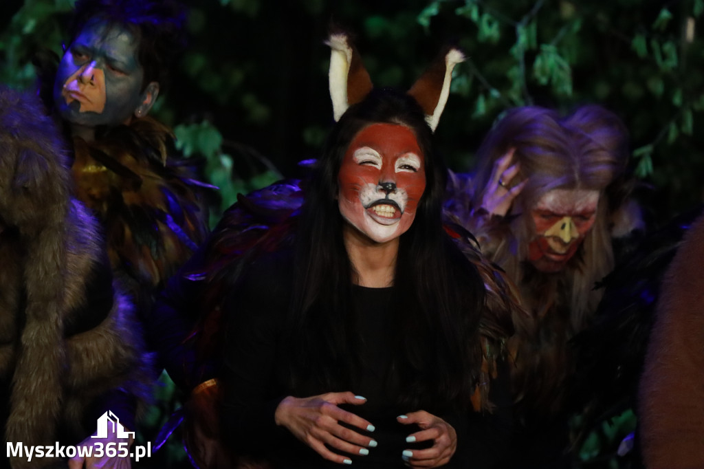 Fotorelacja I: Charytatywny spektakl Leć nisko, biegnij wysoko w MDK Myszków