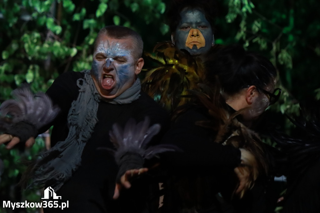Fotorelacja I: Charytatywny spektakl Leć nisko, biegnij wysoko w MDK Myszków