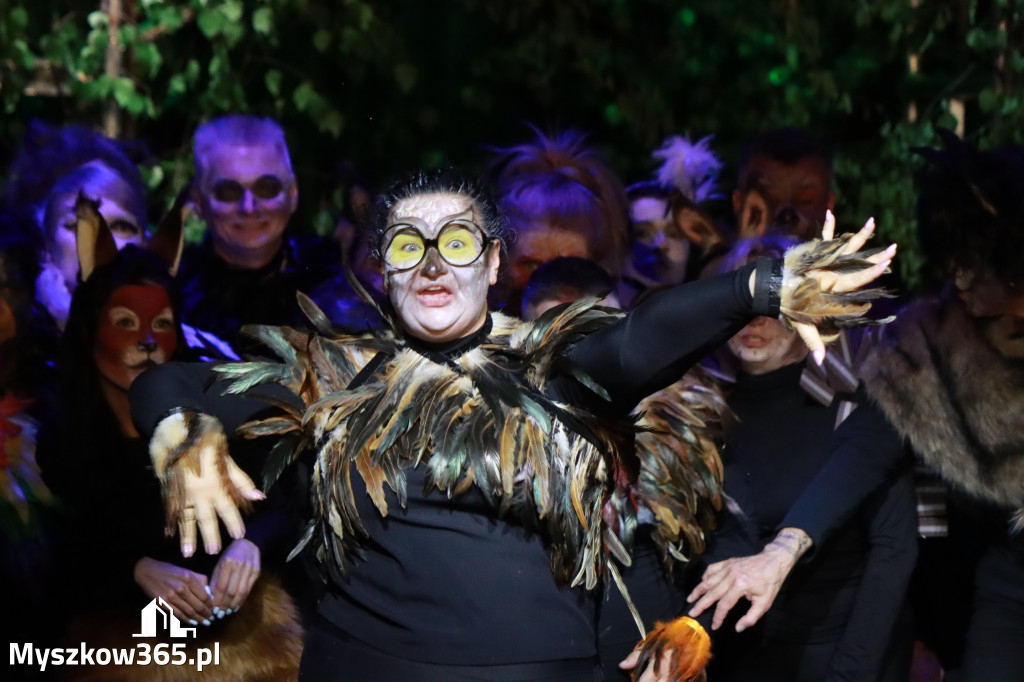Fotorelacja II: Charytatywny spektakl Leć nisko, biegnij wysoko w MDK Myszków