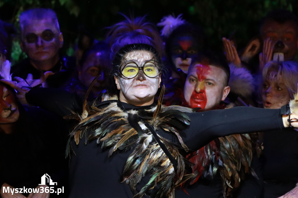 Fotorelacja II: Charytatywny spektakl Leć nisko, biegnij wysoko w MDK Myszków