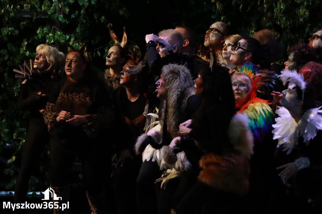 Fotorelacja II: Charytatywny spektakl Leć nisko, biegnij wysoko w MDK Myszków