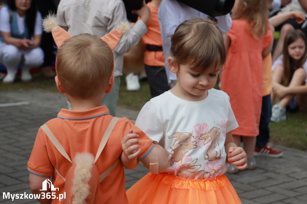 Fotorelacja I: Nadanie imienia Przedszkolu w Żarkach Letnisko