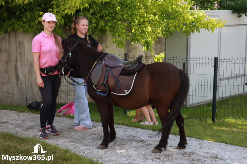 Fotorelacja: Festyn Rodzinny przy Kinie za Rogiem w Koziegłowach