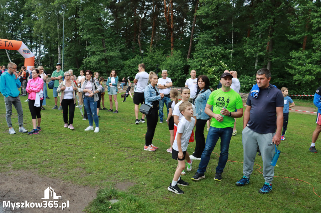 Fotorelacja I: 46. Międzynarodowy Bieg V-ciu Stawów