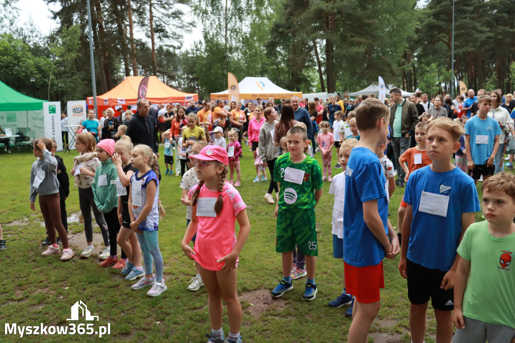 Fotorelacja I: 46. Międzynarodowy Bieg V-ciu Stawów