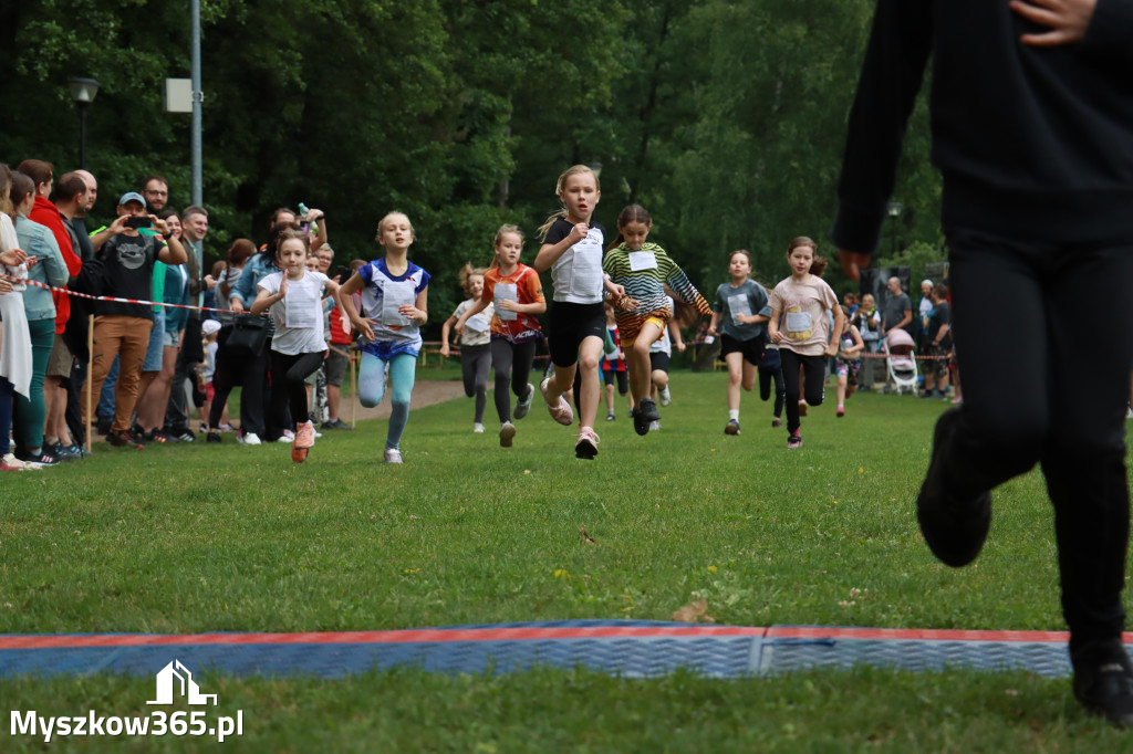 Fotorelacja I: 46. Międzynarodowy Bieg V-ciu Stawów