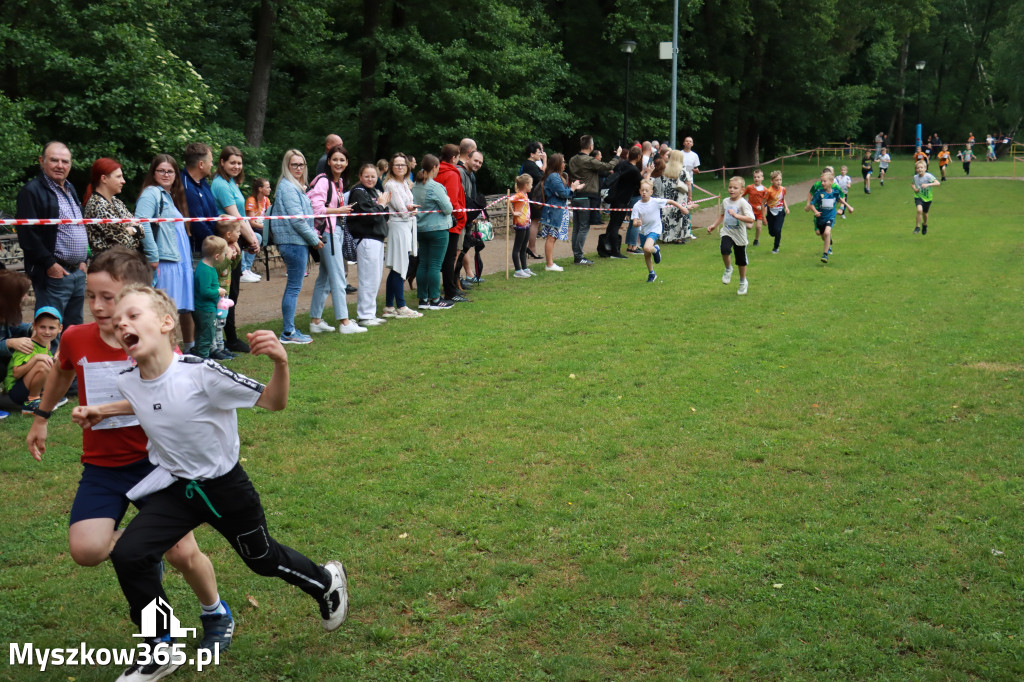 Fotorelacja I: 46. Międzynarodowy Bieg V-ciu Stawów