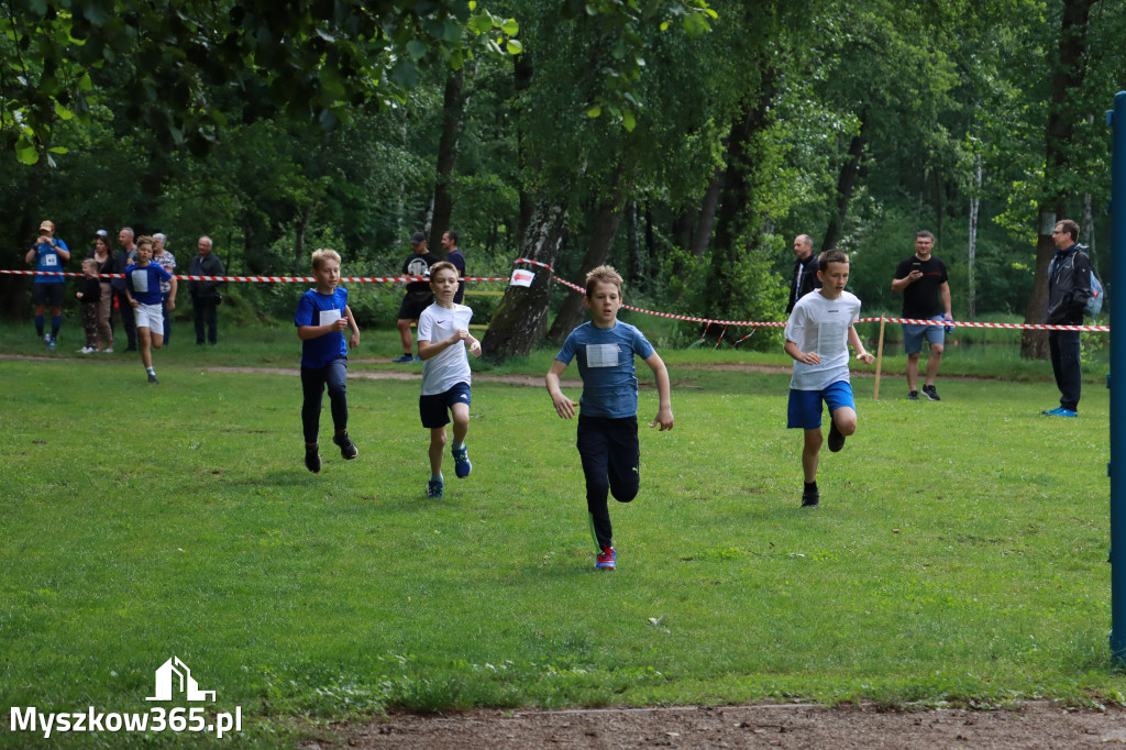 Fotorelacja I: 46. Międzynarodowy Bieg V-ciu Stawów