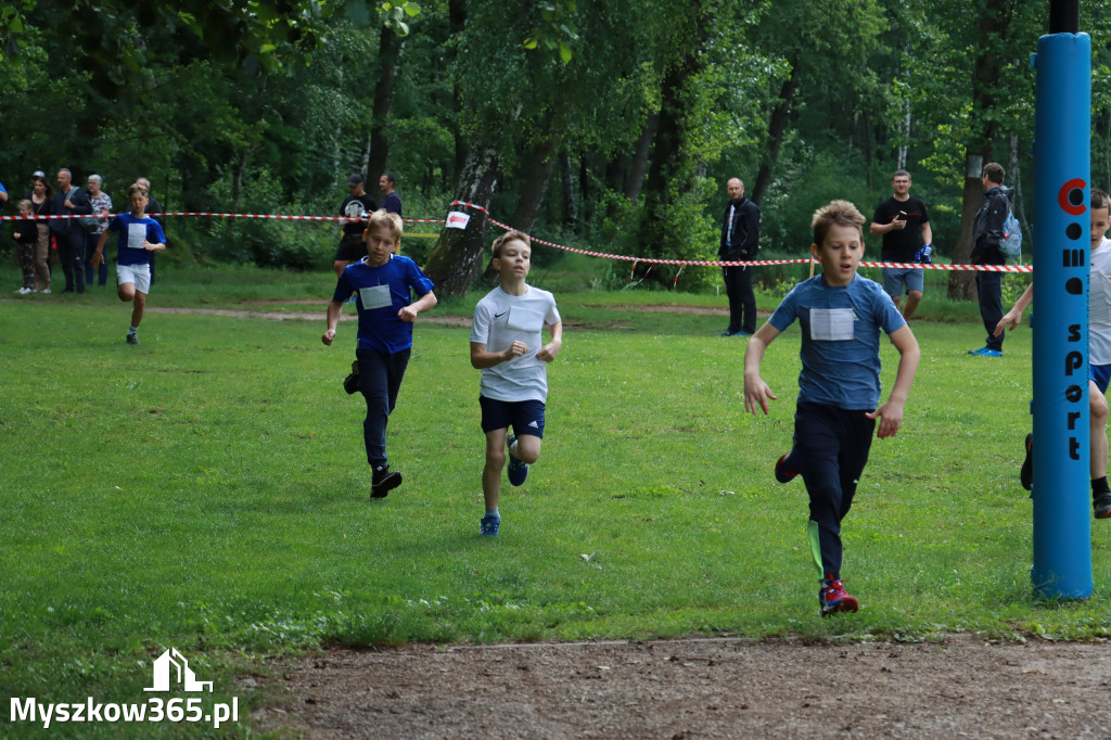 Fotorelacja I: 46. Międzynarodowy Bieg V-ciu Stawów