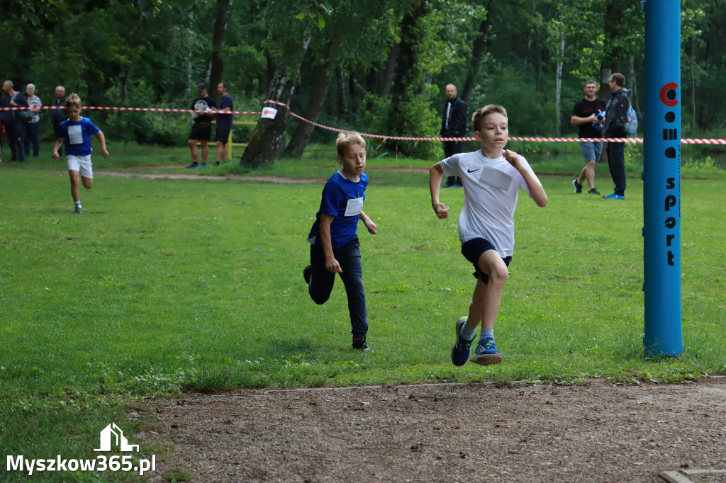 Fotorelacja I: 46. Międzynarodowy Bieg V-ciu Stawów
