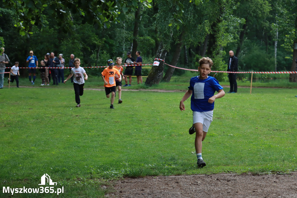 Fotorelacja I: 46. Międzynarodowy Bieg V-ciu Stawów