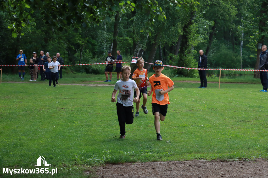 Fotorelacja I: 46. Międzynarodowy Bieg V-ciu Stawów