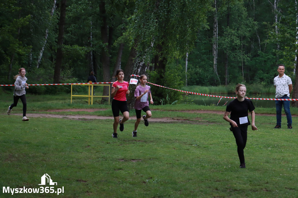 Fotorelacja I: 46. Międzynarodowy Bieg V-ciu Stawów