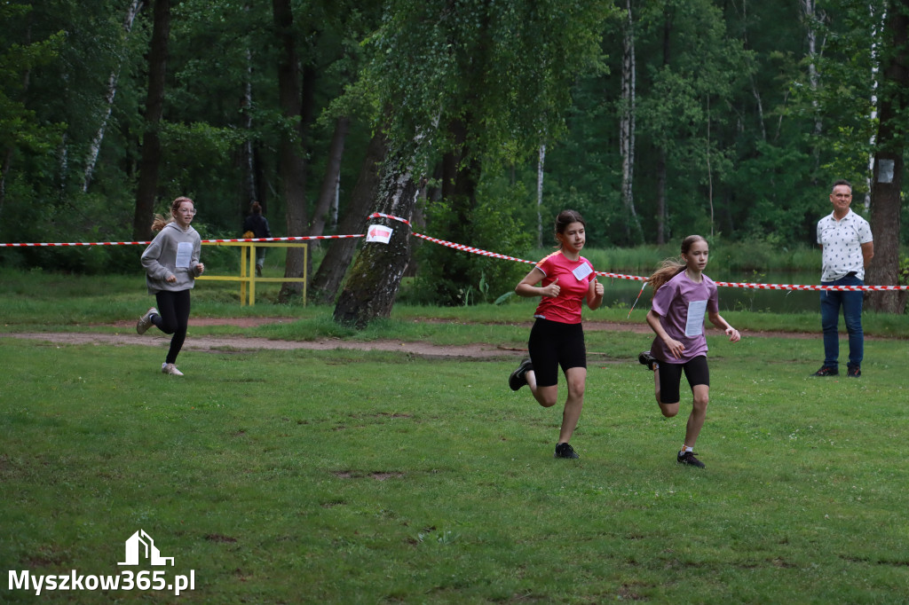 Fotorelacja I: 46. Międzynarodowy Bieg V-ciu Stawów