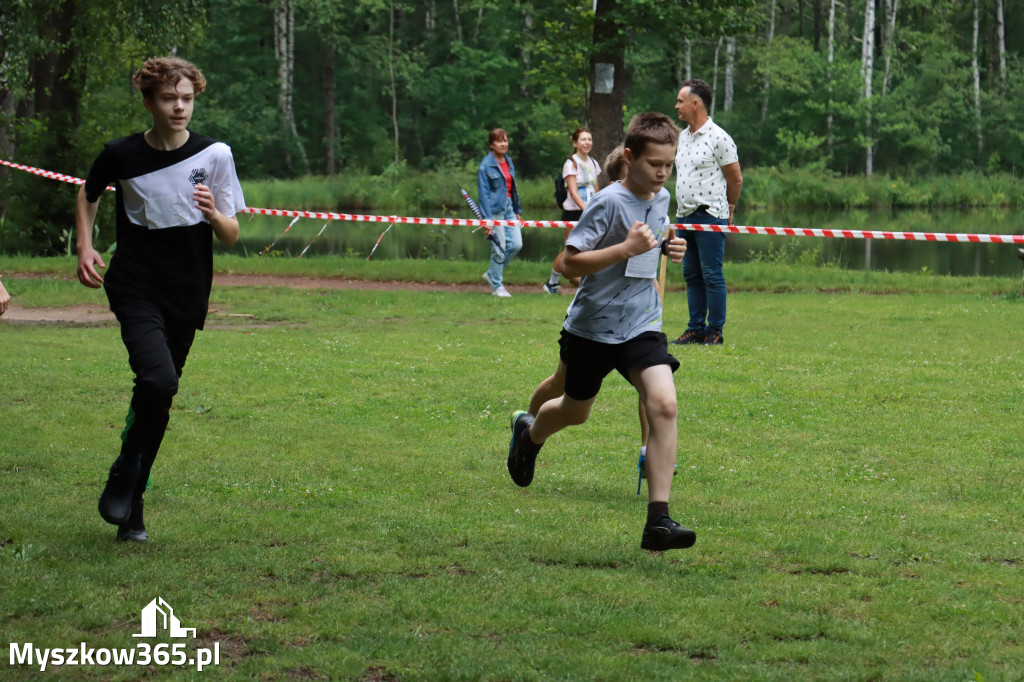 Fotorelacja I: 46. Międzynarodowy Bieg V-ciu Stawów