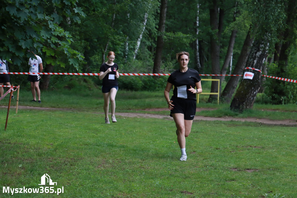 Fotorelacja I: 46. Międzynarodowy Bieg V-ciu Stawów